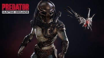 Predator Hunting Grounds EP 1151: COMPLETE FALCONER BUILD