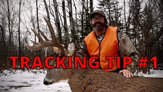 snow tracking tip #1   What to do next after you bump the buck you are tracking.