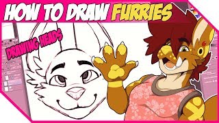 【How To Draw Furries】 Head Tutorial
