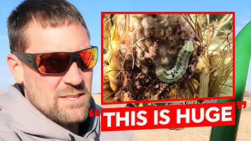 How Your Soil Temperature Can PREDICT Pest Spread In Crops..