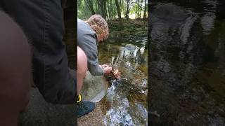 Floating fire #experiment #bushcraft #hiking #river #woodland #test #fire #boat #outdoors #funny