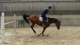 DSCF0713.AVI