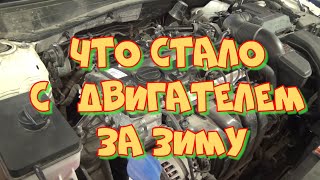видео: Киа К5 эндоскопия спустя 10 т км картинка: Киа К5 эндоскопия спустя 10 т км