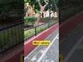 Meri colony in Lucknow #youtube #trending #vlog #viralvideo #shorts #viralshort #lucknow #home