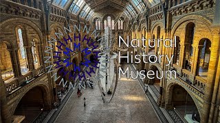 Best London Natural History Museum tour in Central London