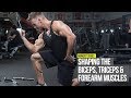 Shaping The Arm: Biceps, Triceps & Forearms