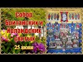 Собор Британских и Ирландских святых. 25 июня.