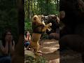 भालू ने लड़की को मारने वाला था 😱 | लेकिन शेर ने अपनी जान देकर बचाया! 🦁🔥 | #shorts #lion #ladki