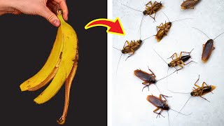 😱 Kill Roaches Overnight – No Pesticides, No Chemicals, Just Genius!