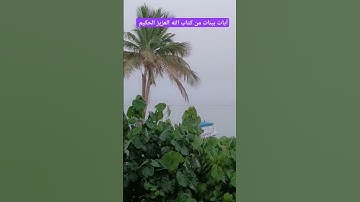 آيات بينات من كتاب الله العزيز الحكيم الغفور الرحيم #كن_مع_الله_ولا_تبالي #قران_كريم #المصحف