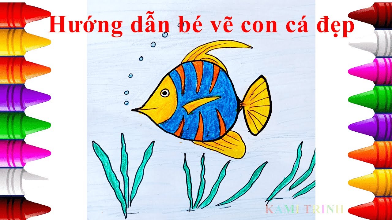 Hướng dẫn vẽ con cá đẹp | Hướng dẫn bé vẽ và tô màu - YouTube
