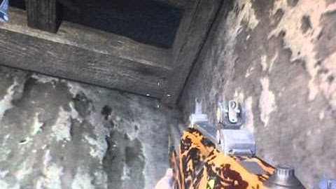 Black Ops Motion Sensor Glitch