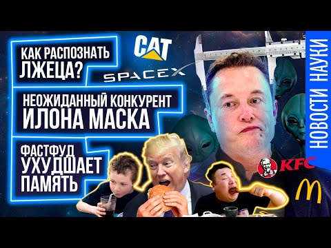 Психические заболевания собак. Почему уменьшается мозг? Курение портит зрение. Всем наука / Научnews