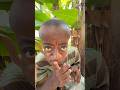 SASA MBONA ANAJISAIDIA KWENYE MIGOMBA 