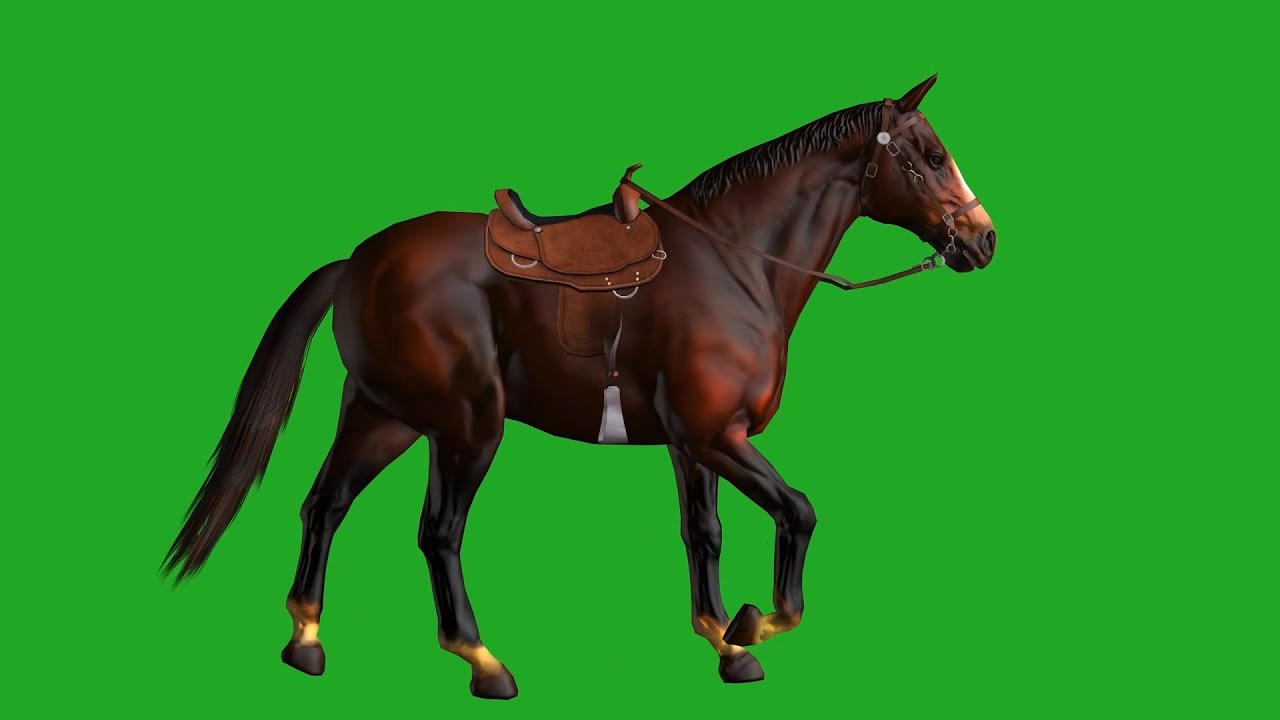 Green Screen Footage Indian horse Gstudio Animations YouTube