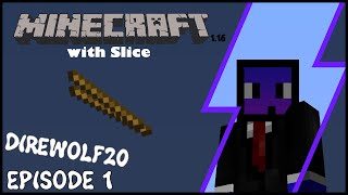 Starting Out - FTB Direwolf20 1.16 LP1 EP1