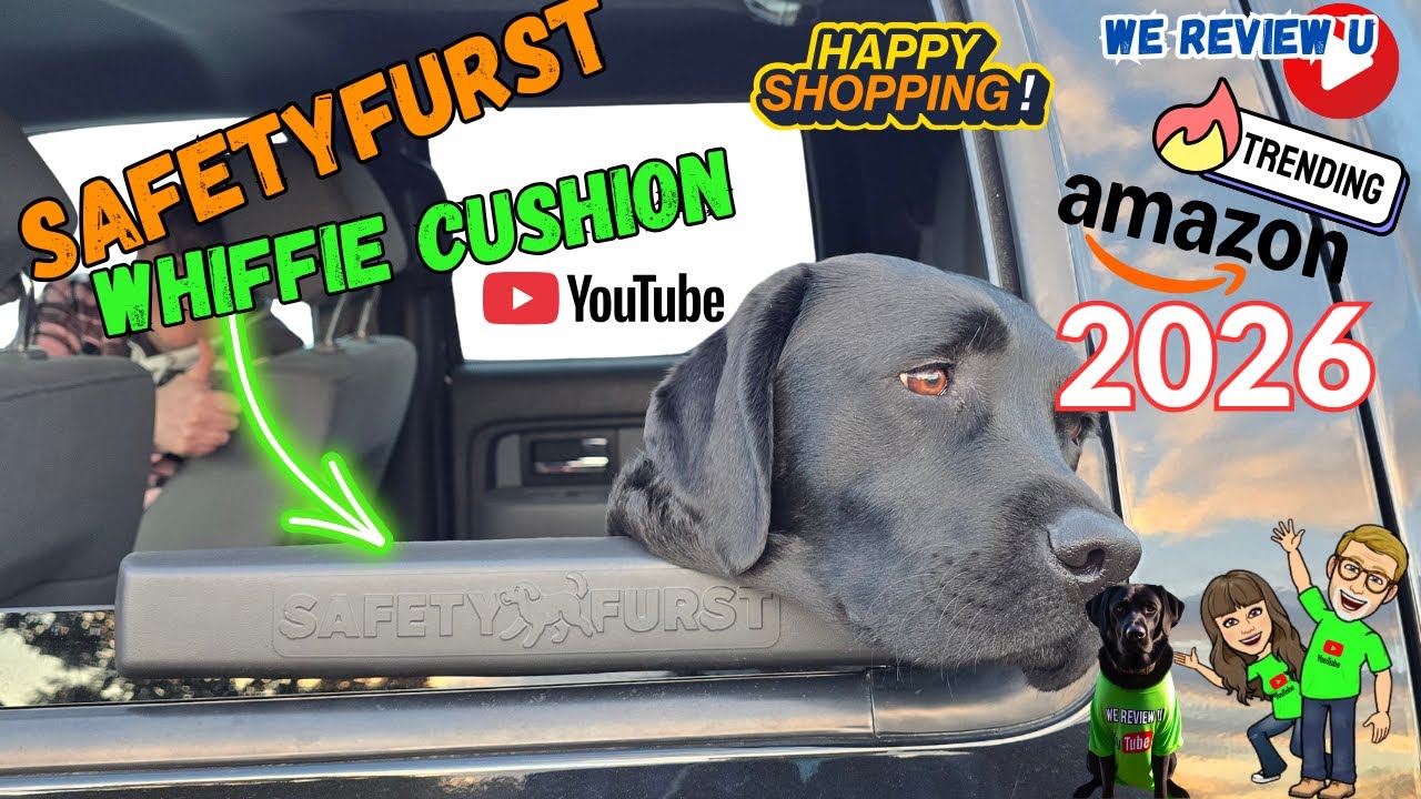 Pet Safety FURST: Dog Travel Tips for Road Trips