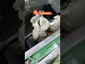 U Shape Atta Mixer Machine | Fast & Powerful Dough Mixing | KGN Industry Atta Kneading Solution