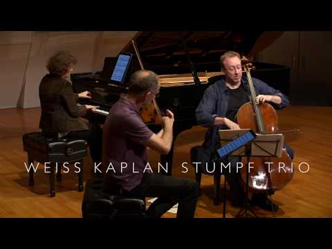 About the Weiss Kaplan Stumpf Trio