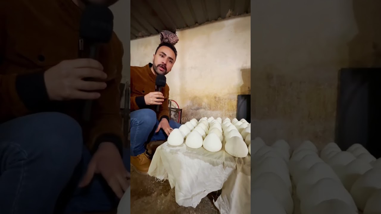 بلش موسم الألبان والاجبان والجميد الطازجة في ألاردن