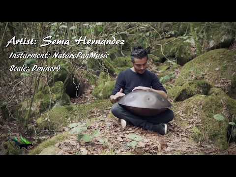 NaturePan Handpan and