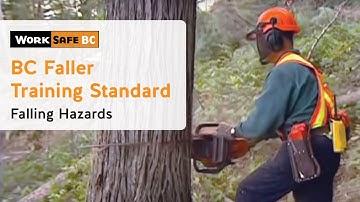 BC Faller Training Standard - Falling Hazards (13 of 17)