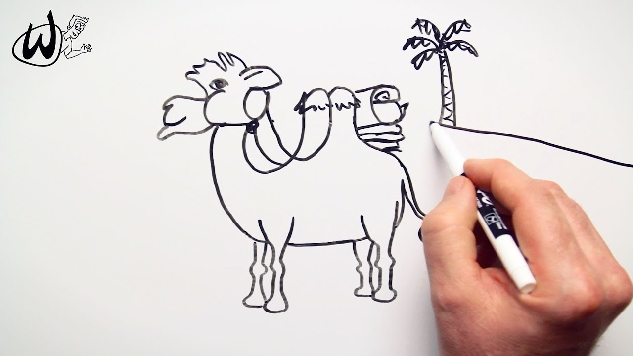 How to Draw a Desert Camel - Drawing Doodle Words to Cartoon - YouTube
