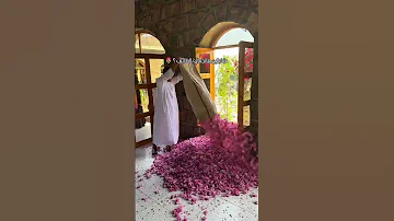 تهديني الورد واهديلك على ذوقي راشد الماجد 
