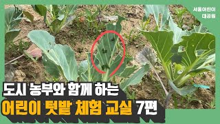도시농부와 함께 하는 어린이 텃밭 체험 교실 7편 ㅣ 병해충 알아보기, 친환경 방제액 만들기썸네일