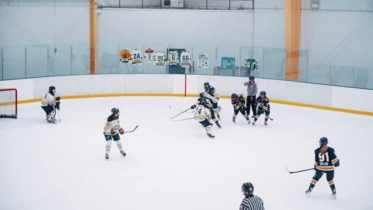Camilla Gondim #24 | All Shifts vs Mississauga Hurricanes U18AA | February 14, 2026