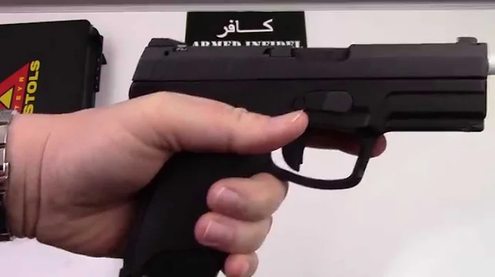 Steyr M9 A1 Desktop Review