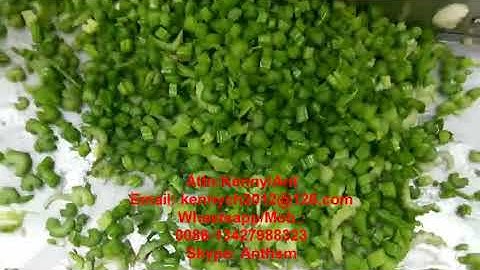 CH-20 celery cutting slicing machine, celery cutter slicer