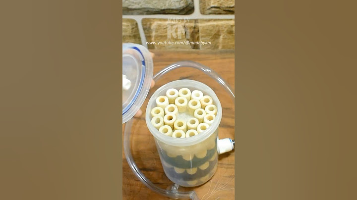 😍 This DIY Canister Filter is Perfect for Nano Aquariums