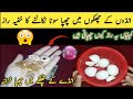 Do you want to make gold from egg shells are you unaware  kitchen tips ana tricks