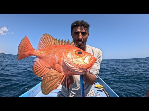 بنعيش عالسمك إلى بنصطاده وحووش مغامرة الصيد على الجزيرة