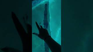 Tingly Water Sounds #satisfying #triggersforsleep