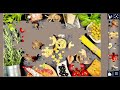Italian 🇮🇹 Food 🍲 Ingredients