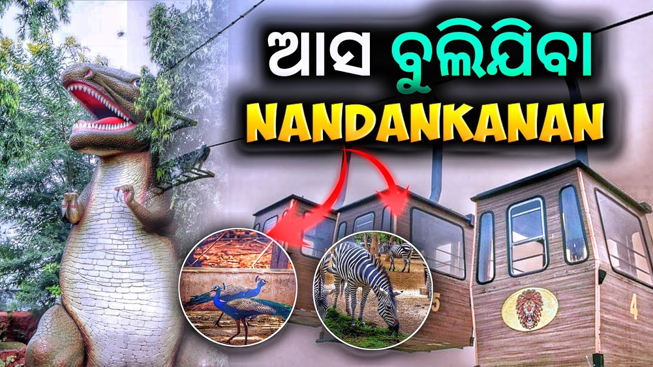 ଆସ ବୁଲିଯିବା ନନ୍ଦନକାନନ 🐅🦖|| Nandankanan tourist place || bhubaneswar tourist place || tourist place 🦣