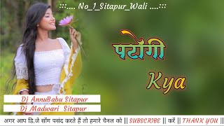 Patogi Kya//Old Nagpuri Dj Song 2024//Dj AnnuBabu Sitapur Dj Madwari Sitapur