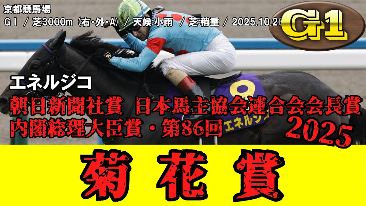 競馬】 菊花賞 （クラシック三冠） 2025 / エネルジコ - YouTube