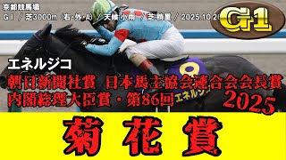 競馬】 菊花賞 （クラシック三冠） 2025 / エネルジコ - YouTube