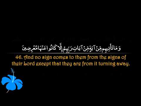 surah-yaseen-|-sa'ad-al-ghamdi-سورة-يس-|-سعد-الغامدي