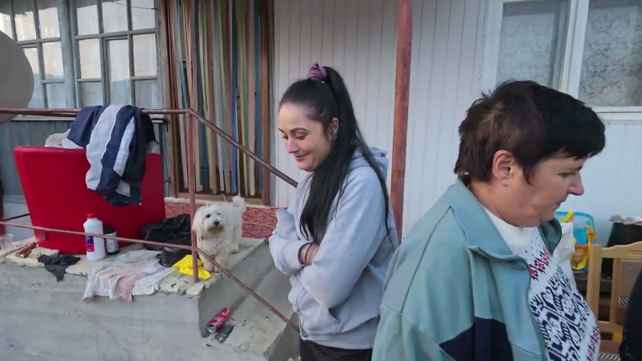 Au tăiat Bacalbașele porcu fără mine 🤣🤣🤣