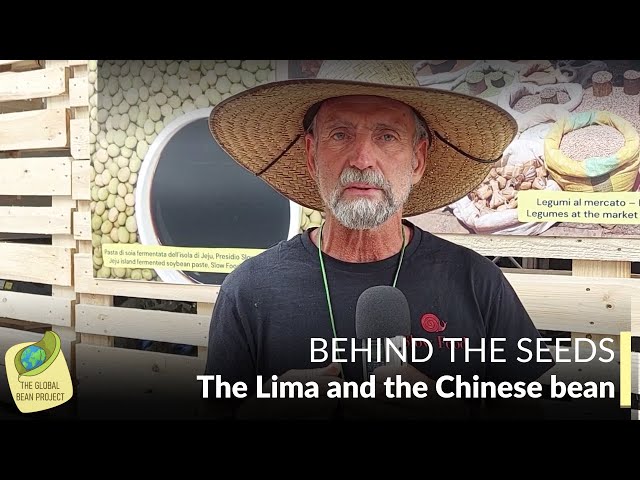 Behind the Seeds | The Lima and the Chinese Bean With Paul Maschka (U.S.A.)