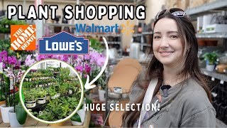 Big Box Houseplant Shopping 3 Locations! Huge Plant Selection at Walmart!