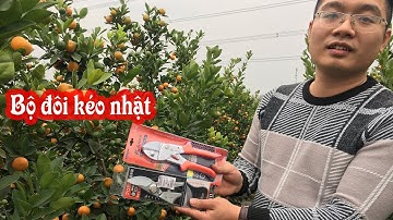 Kéo cắt cành cộng lực kapusi và  kéo Sada 210