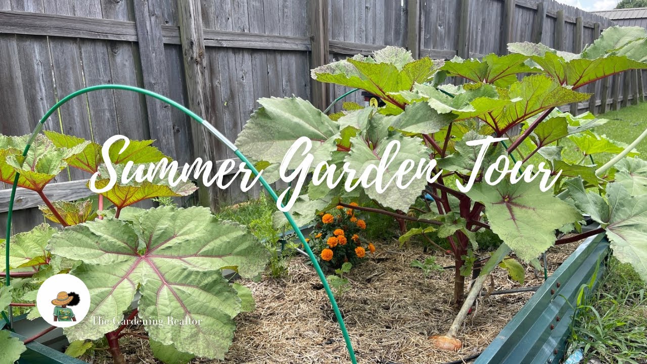 Summer Garden Tour | Everything Growing + What I’m Starting Now! - YouTube