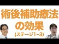 【一問一答】ステージ１～３　術後補助療法の効果は？(再アップ)