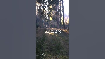 {وَإِذَا سَأَلَكَ عِبَادِي عَنِّي فَإِنِّي قَرِيب .. القارئ الشيخ : عبد الباسط عبد الصمد  رحمه الله