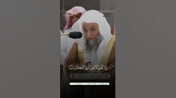 مقتطف من تلاوة فضيلة الشيخ أ.د. #فيصل_غزاوي من صلاة المغرب 25 صفر 1446هـ.
